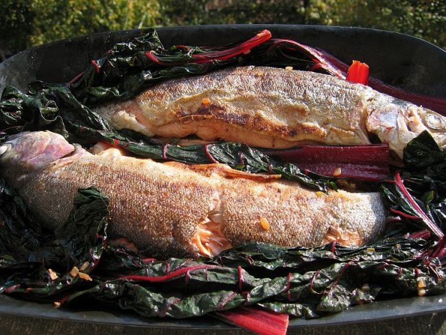 Lachsforelle auf hippen Gemüse – Mangold