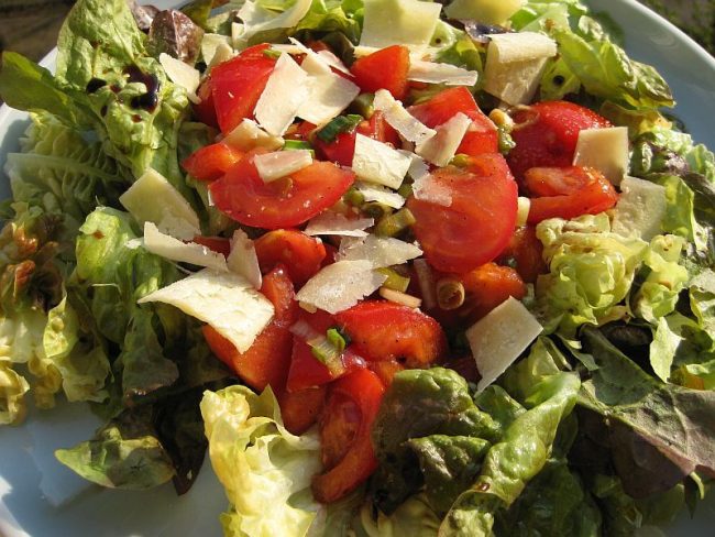 Bataviasalat Strauchtomate und gehobelter Parmesan
