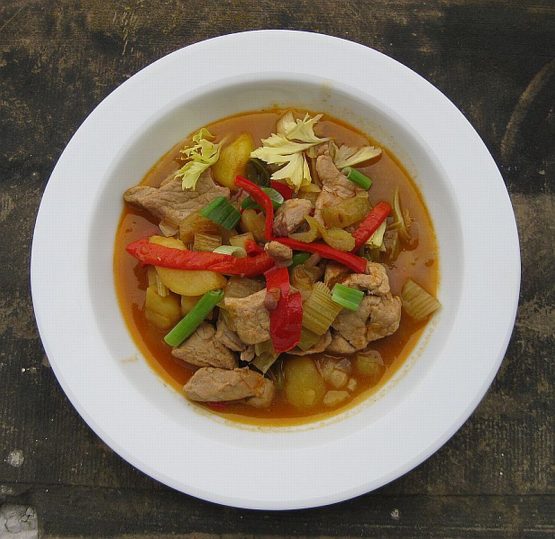Weißer Teller mit Schweinegulasch, Kartoffelstücken, roter Paprika und Sellerie in würziger Brühe