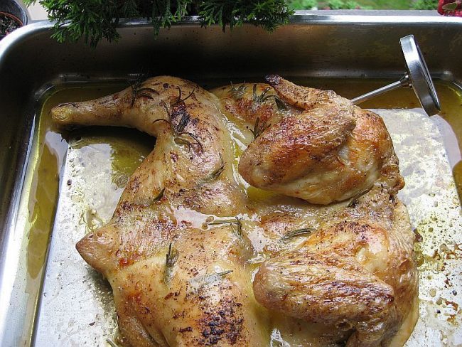 Ein plattes Huhn genannt Pollastrello al mattone ist ein traditionelles italienisches Rezept.