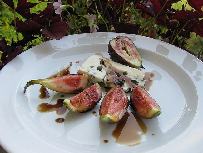 Saftige Feigen mit Roquefort sind gut anzusehen und schmecken hervorragend