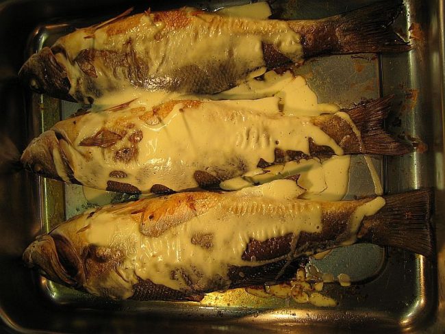 Meerbarsch oder Wolfsbarsch “loup de mer”