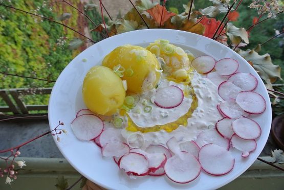 Tsatsiki mit Leinöl ist eine spezielle Variante des griechischen Nationalgerichtes.