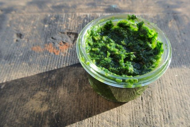 Petersilienpesto – Pesto aus Petersilie