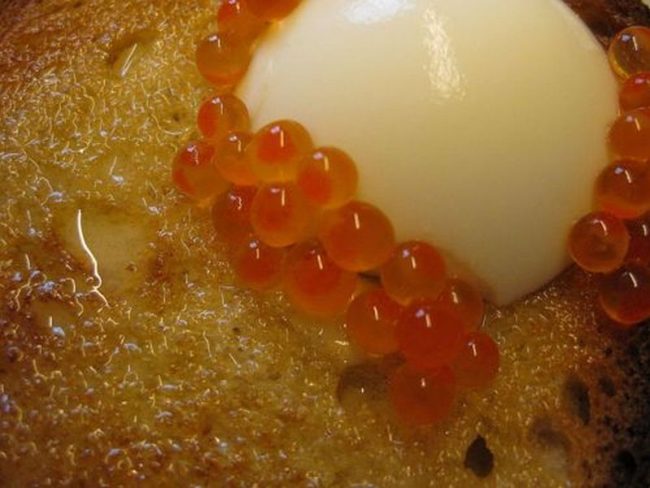 Schöpfungsgeschichte