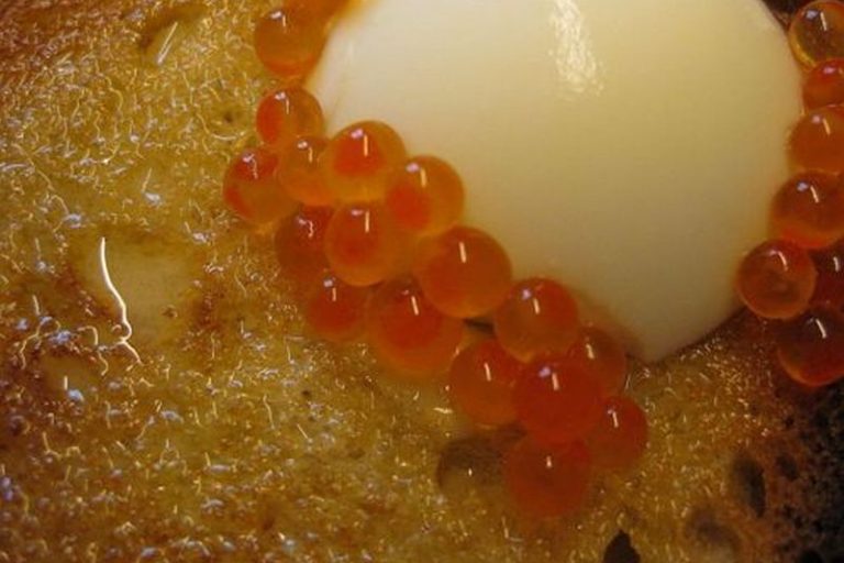 Schöpfungsgeschichte