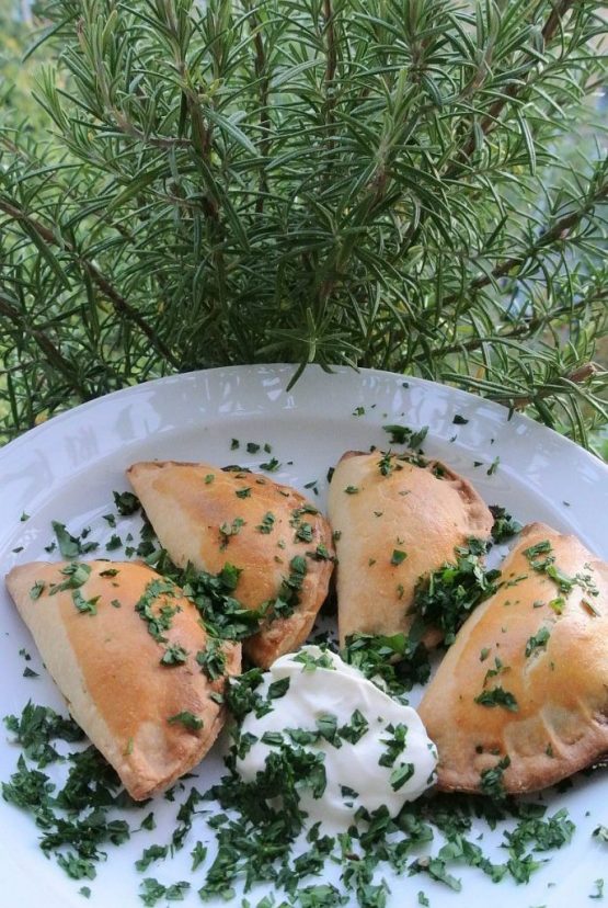 Piroschki – die kleine gefüllte Teigtasche