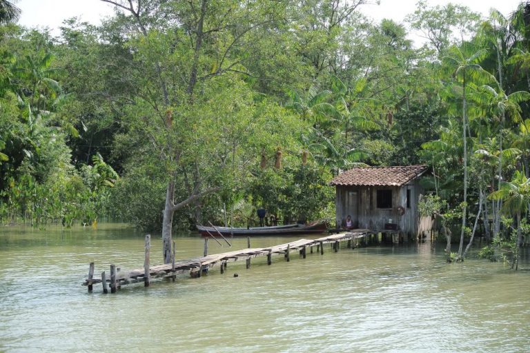 Seitenarm des Amazonas mit einer Hütte der Indigenen