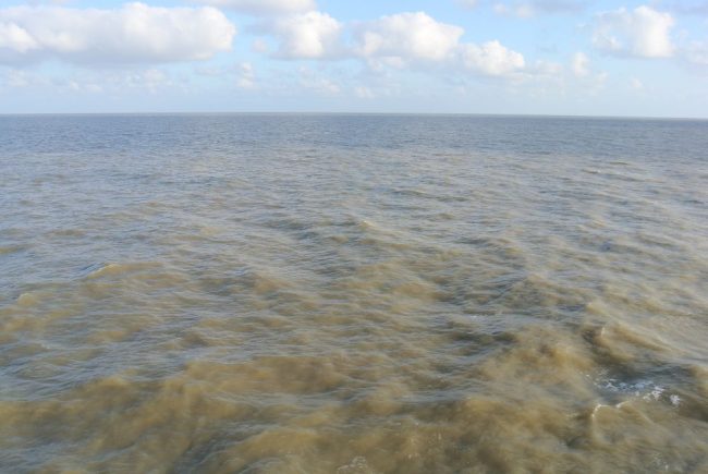 Delta des Amazonas auf der Reise Transamazonas - Santarém