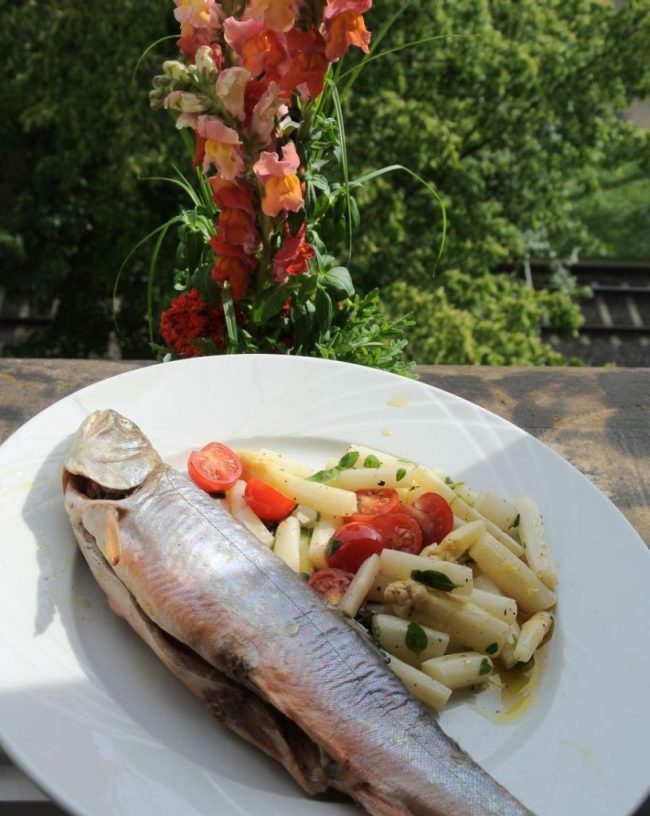 Saibling mit lauwarmen Spargelgemüse ist ein feines und leichtes Essen