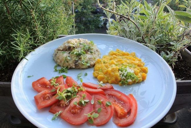 Pilzrisotto an Hokkaidokürbisragou ist ein leichtes Gericht für den Herbst und gut bekömmlich.