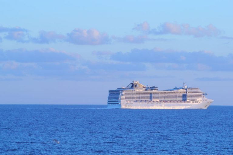 Die Entstehung der Kreuzschifffahrt ist eine Glosse von Thomas Gatzemeier. Das Bild des Beitrags zeigt ein Kreuzfahrtschiff vor Mallorca.