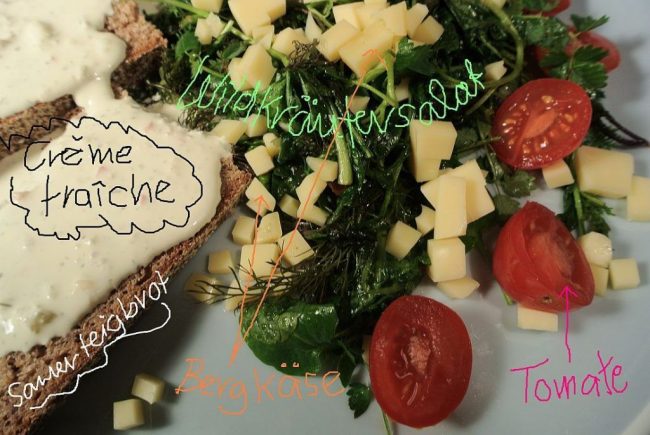 Löwenzahn Wildkräutersalat ist gesund und fördert die Verdauung durch seine Bitterstoffe.