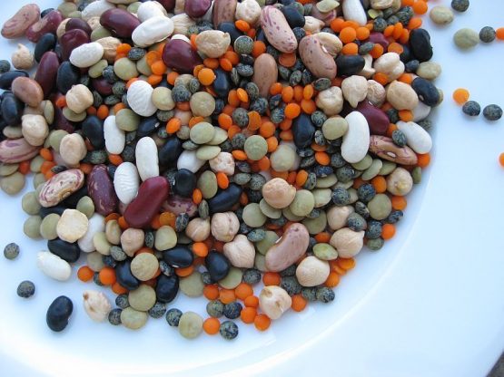 Die Bohne als Antipasti ist ein Klassiker der italienischen Küche