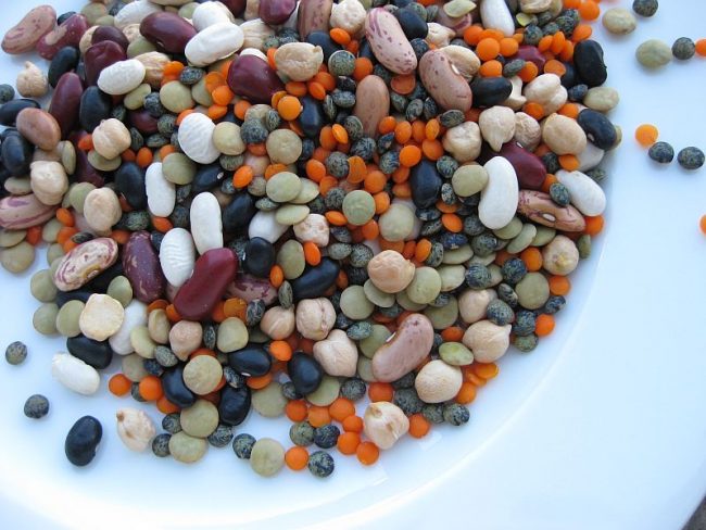 Die Bohne als Antipasti ist ein Klassiker der italienischen Küche