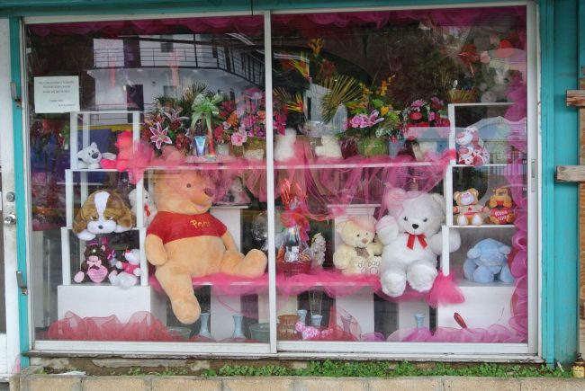Road Town, Tortola und seine Plüsbären im Schaufenster sind ein kurioser Anblick.