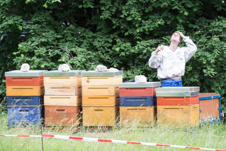 Die Stadtimker von Leipzig