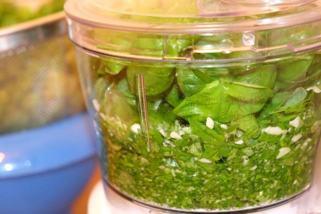 Klassisches Pesto aus Basilikum im Mixer und schon sind wir einen Schritt weiter