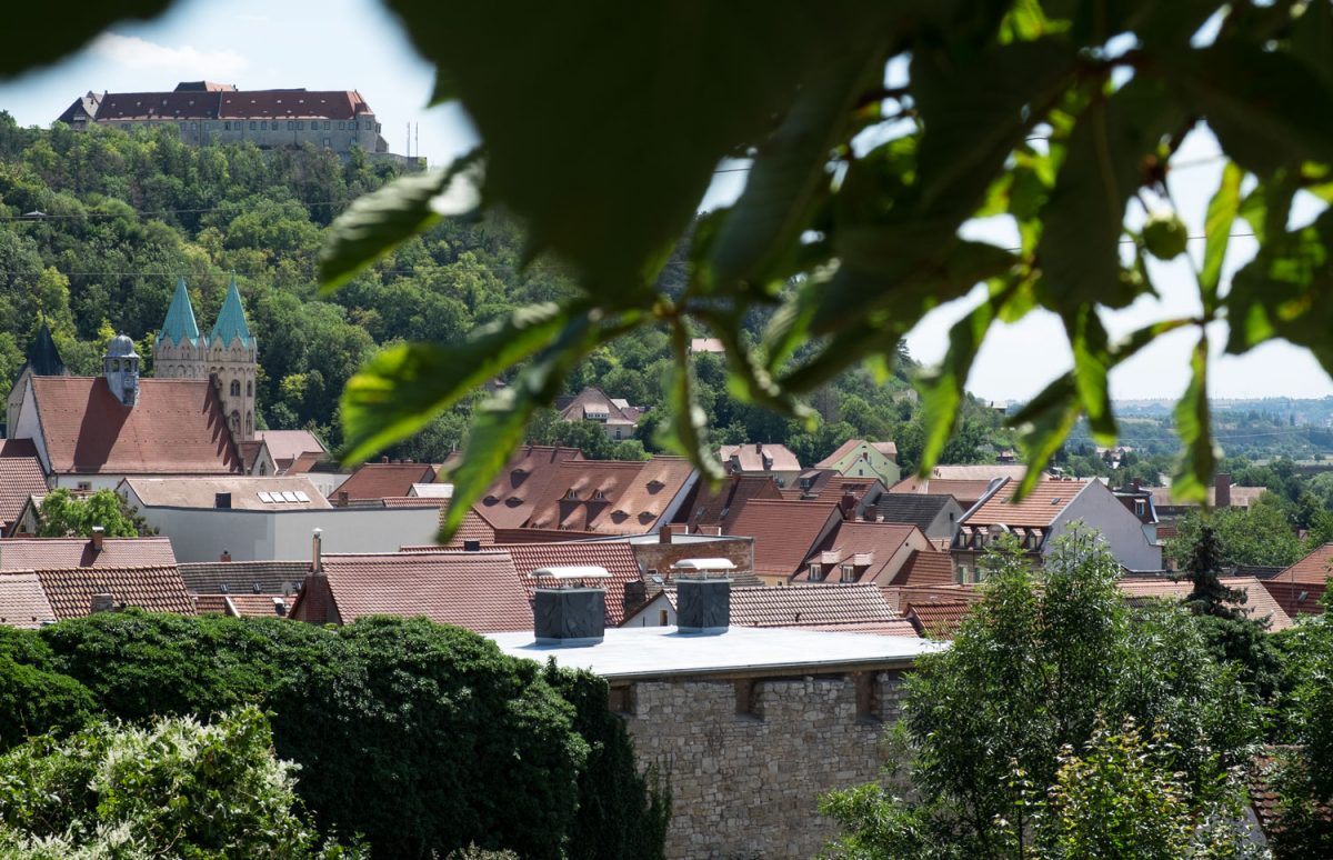 Blick über die Dächer von Freyburg