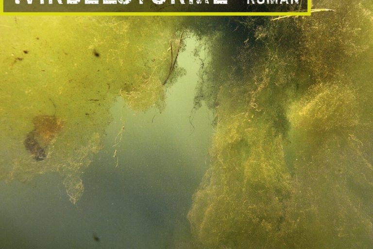 Buchumschlag des Romans