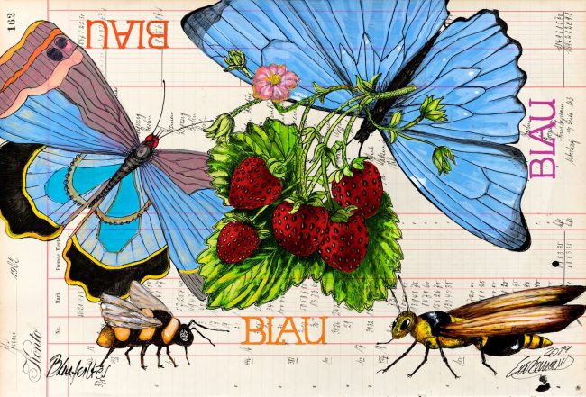 Thomas-Gatzemeier Natur in der Zeitgenössischen Kunst-Blaufalter-2019-Acryl,-Tusche-auf-Kontopapier-32,-7-x-48,5-cm-Postkarten von Thomas Gatzemeier Blaufalter