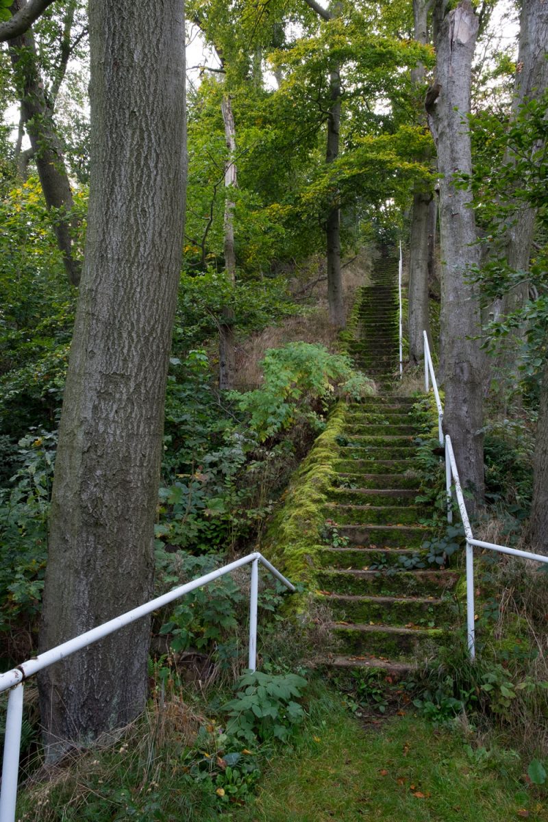 Treppe durch den Felsen der Maylust in den Buchenwald