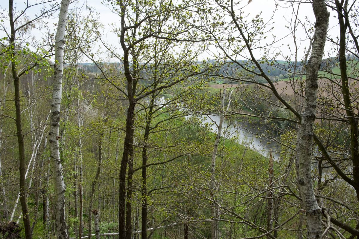 Ein Blick vom Pfaffenberg auf die Zschopau zeigt den sich in die Landschaft des Vorerzgebirges einfügenden Fluss.