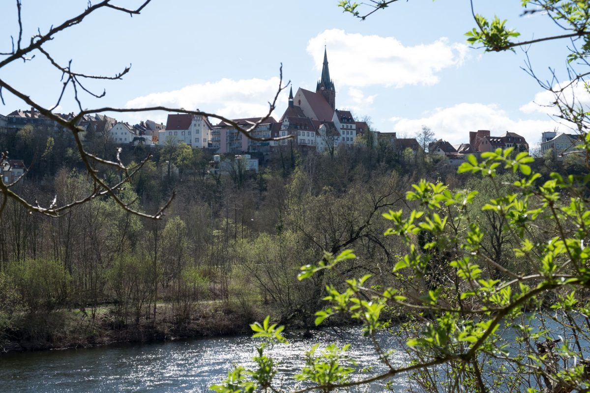 Leisnig die Stadtansicht vom Ufer der Mulde und dem Wanderweg aus gesehen. Die historische Altstadt liegt auf einen Felsplateau über dem Fluss.