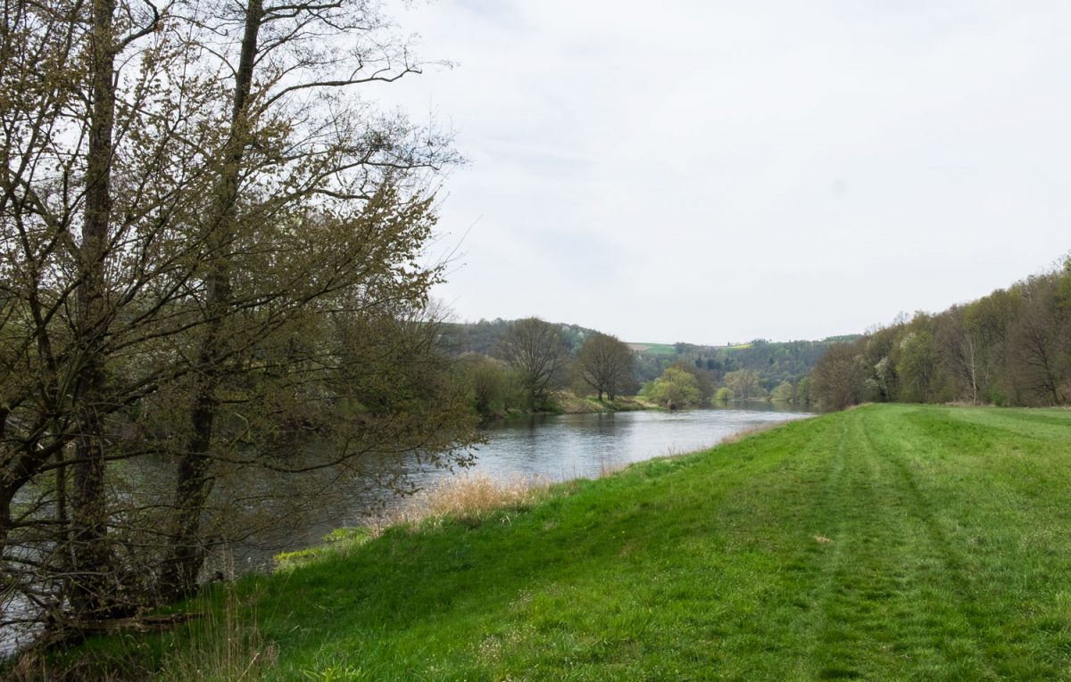 Ruhiger Flusslauf der Zschopau bei Limmritz flussabwärts zum Zusammenfluss mit der Mulde. Der Flusslauf hat sich in die hügelige Landschaft eingeschnitten.