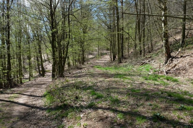 Die Weggabelung Wanderweg von Kloster Buch nach Leisnig ist leider leider ohne Kennzeichnung, so dass man sich schnell verlaufen kann.