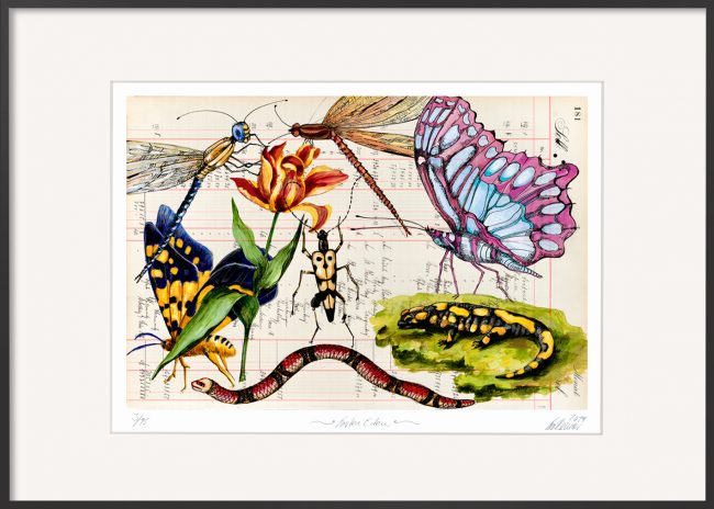 Sie suchen ein Geschenk für Naturliebhaber, dann ist die Grafik von Thomas Gatzemeier, Garten Eden eventuell das richtige. Ein farbenfroher, limitierter Druck.