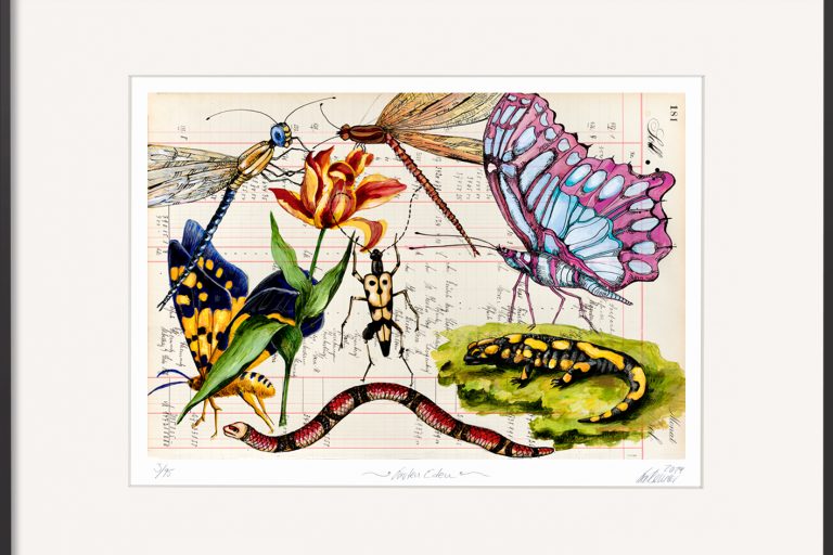 Sie suchen ein Geschenk für Naturliebhaber, dann ist die Grafik von Thomas Gatzemeier, Garten Eden eventuell das richtige. Ein farbenfroher, limitierter Druck.