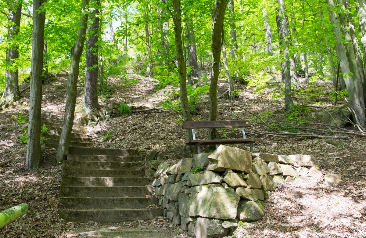 Die Treppen auf dem Wanderweg zur Schillerhöhe führen durch den Wald und können eine Herausforderung sein. Bänke sind zum verweilen aufgestellt.
