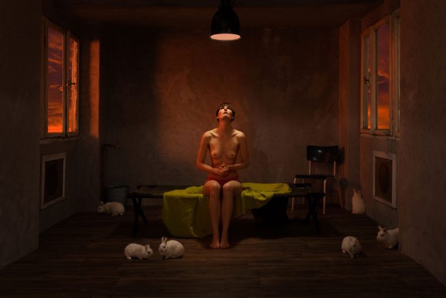 Der Text von Thomas Gatzemeier Haar und Hase in der Kunst bezieht sich auf die Fotografie von Horst Kistner mit dem Titel After Sunset aus dem Jahr 2022