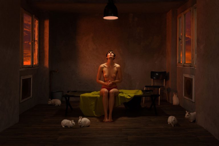 Der Text von Thomas Gatzemeier Haar und Hase in der Kunst bezieht sich auf die Fotografie von Horst Kistner mit dem Titel After Sunset aus dem Jahr 2022