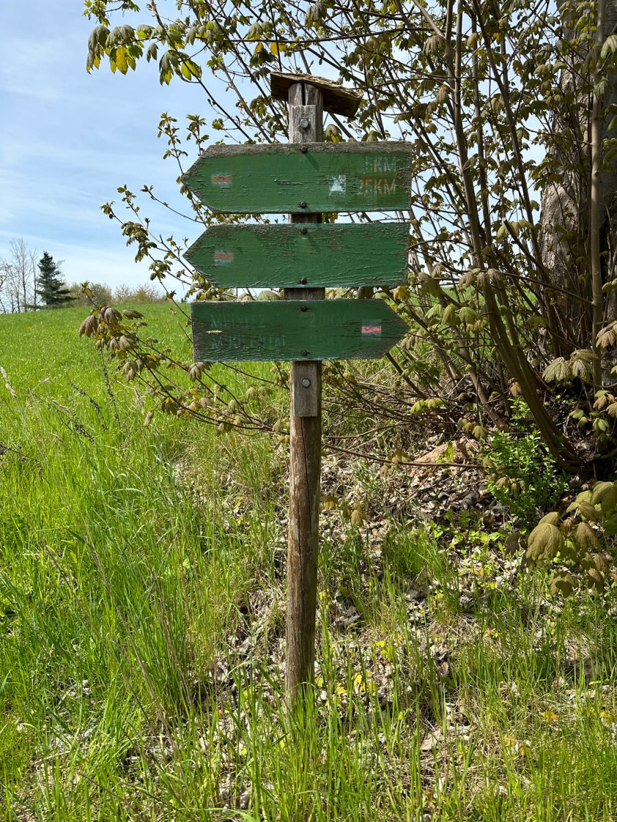 Der Wegweiser der keinen Weg weist auf dem Wanderweg von Leisnig nach Kloster Buch.