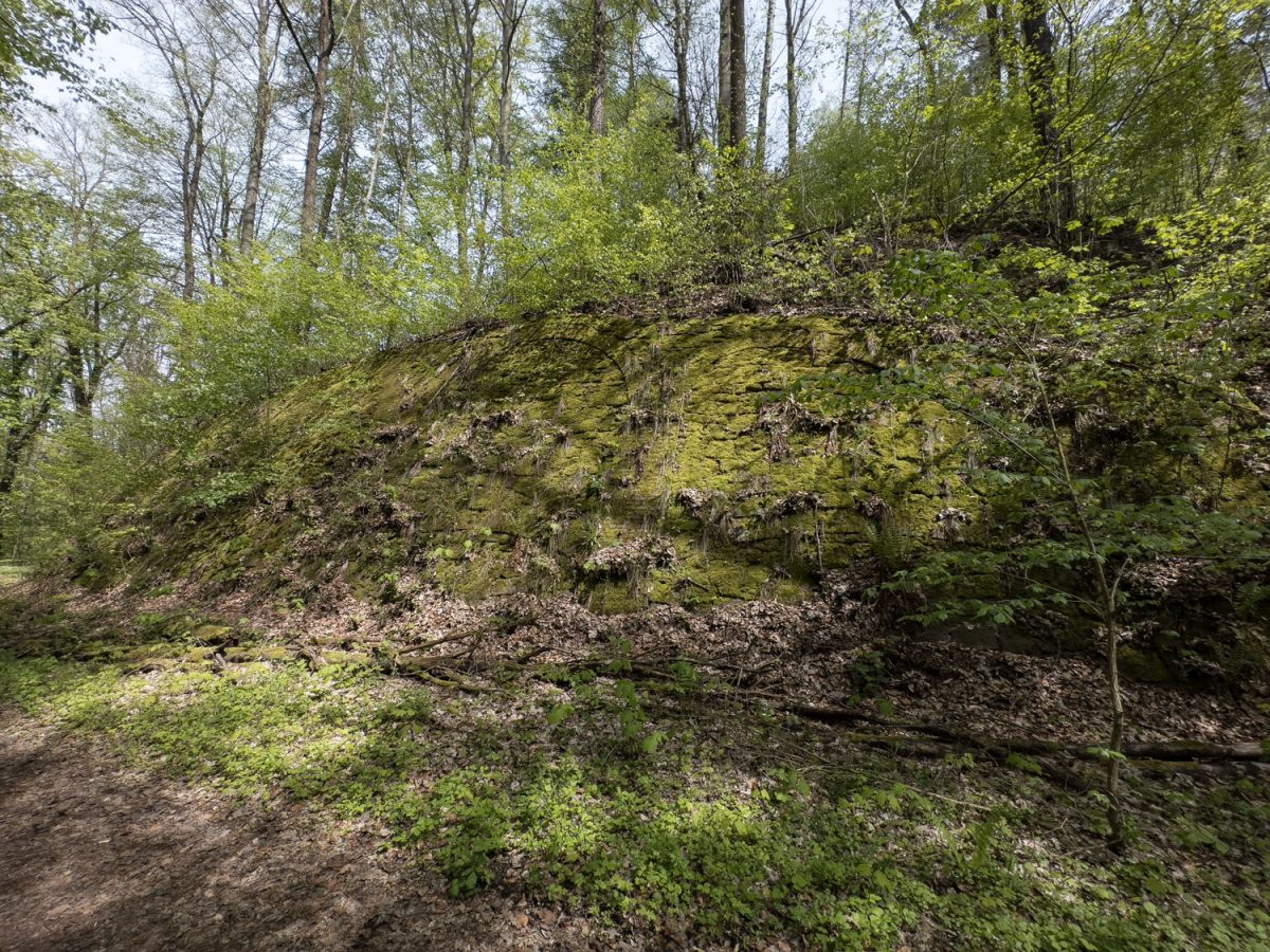 Geheinisvolle Wallanlagen im Wald auf dem Wanderweg von Leisnig nach Kloster Buch