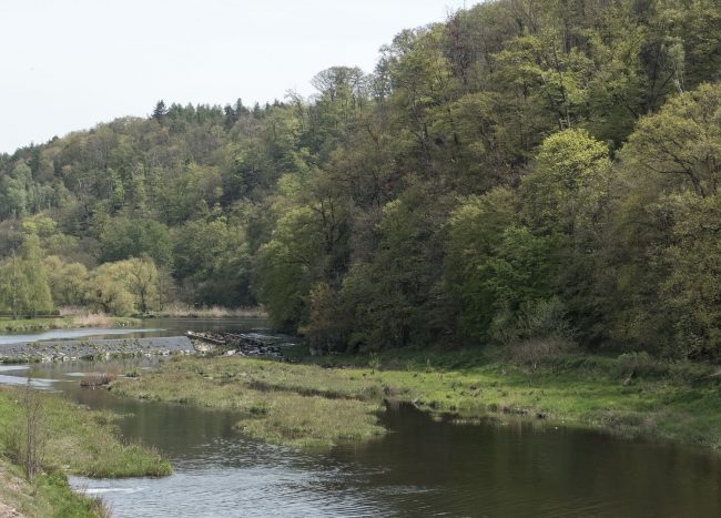 Kurz vor dem Ziel auf dem Wanderweg von Leisnig nach Klosterbuch das Muldenwehr bei Klosterbuch mit Fischtreppe und Blick auf die Maylust.