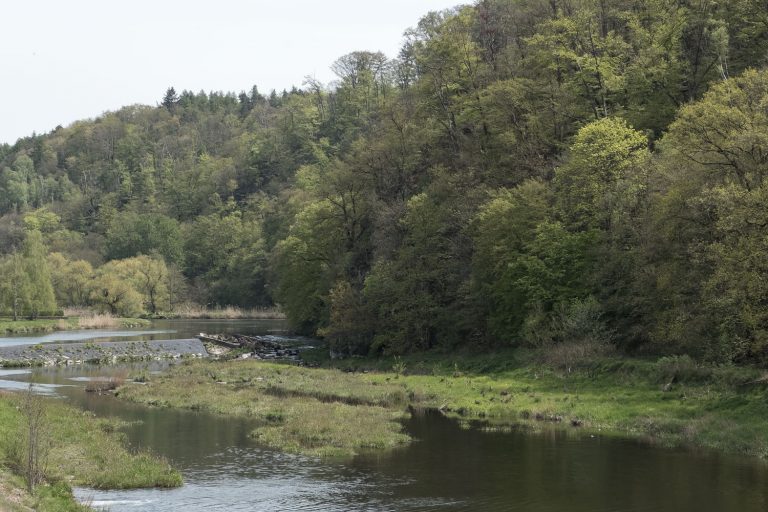 Kurz vor dem Ziel auf dem Wanderweg von Leisnig nach Klosterbuch das Muldenwehr bei Klosterbuch mit Fischtreppe und Blick auf die Maylust.