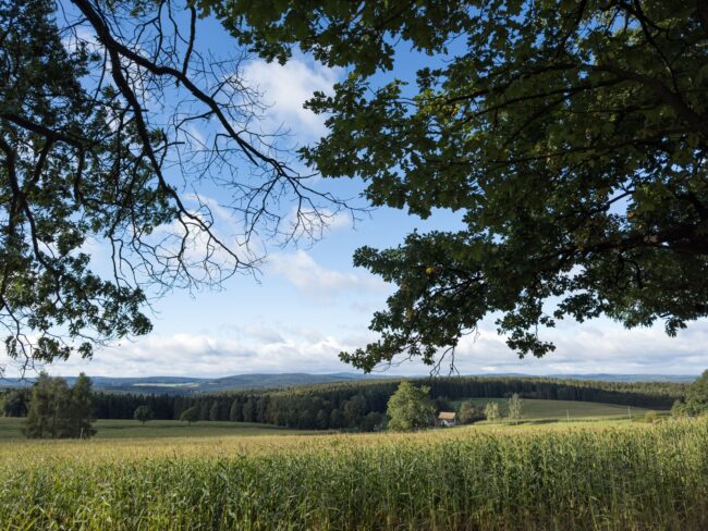 Der Blick über das Vogtland bei Markneukirchen beruhigt, weil er friedlich und ausgleichend wirkt.