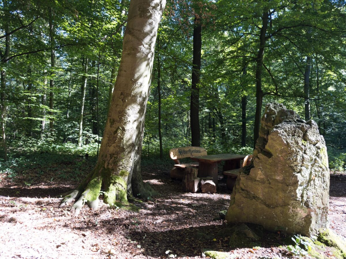 Der Rastplatz im Hochweitzschner Wald am Wanderweg langer Flügel liegt auf halber Strecke zwischen Scheergrund und Westewitz-Hochweizschen. Hier findet man Ruhe und sitzt gut.