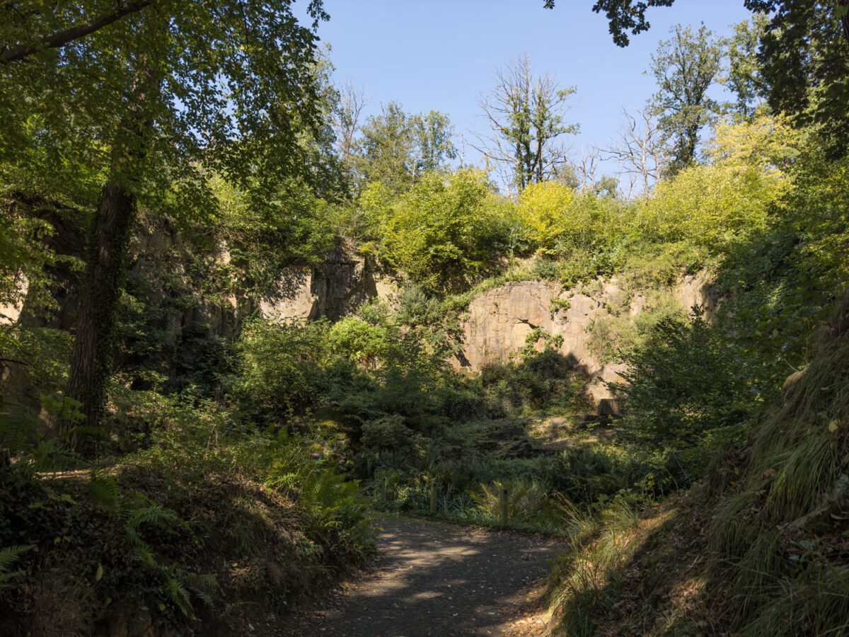 Der Steinbruch im Ostwald Park Großbothen ist wild romantisch aber gepflegt.