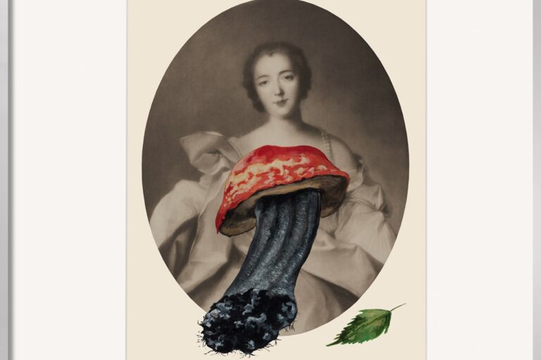 Die Malereicollage von Thomas Gatzemeier mit dem Titel "Die Prinzessin" benutzt den Pilz als Symbol mit einem erotischen Bezug.