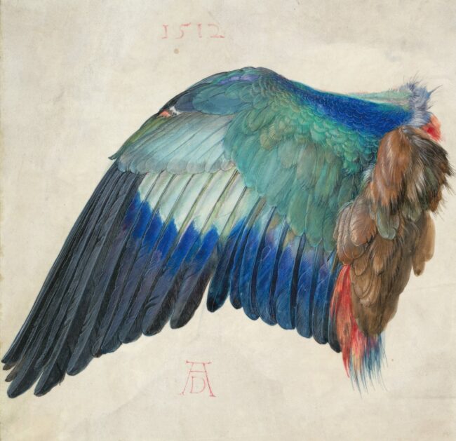 Der Vogel in der Kunst wir in der Renaissance auch wissenschaftlich betrachtet.
