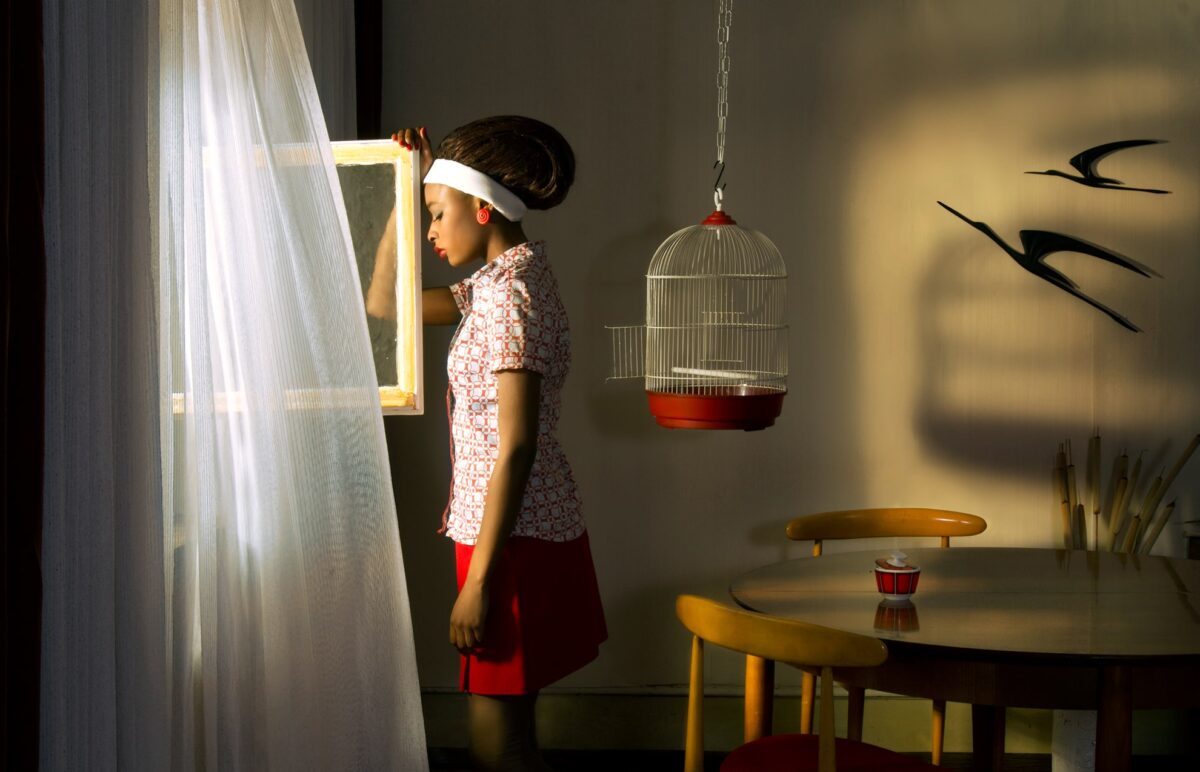 In der Fotogargfie von Horst Kistner The Cage spielt der entflogene Vogel eine Rolle. Die Besitzerin trauert am leeren Käfig und steht am Fenster um ihn eventuell zu entdecken. Ist aber tief traurig.