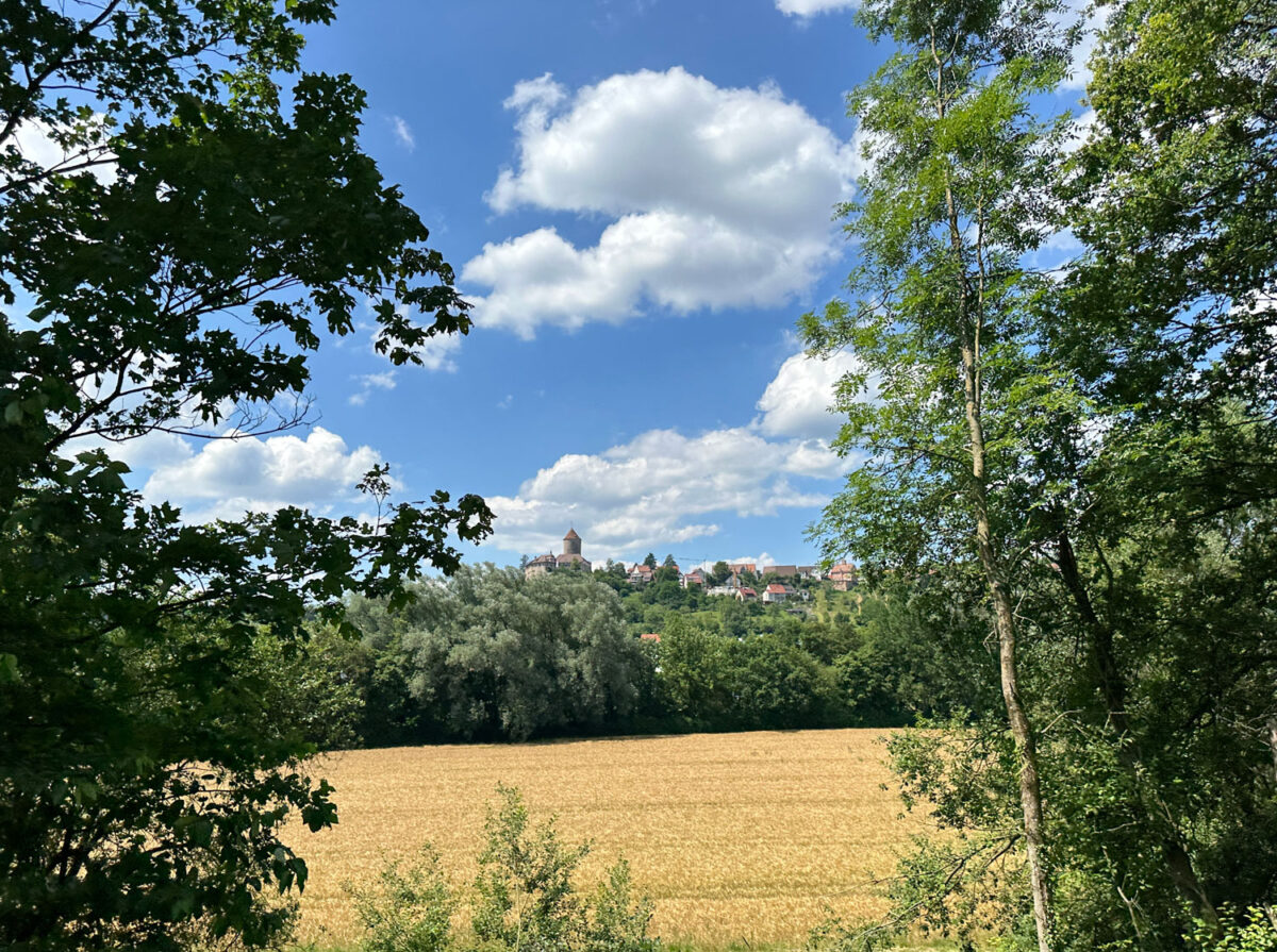 Auf dem Weg mit der regionalbahn von Leipzig nach Frankreich kommt man an der Burg Reichenberg in Württemberg vorbei. Diese Burg wird als Heim für Menschen mit Behinderung benutzt.