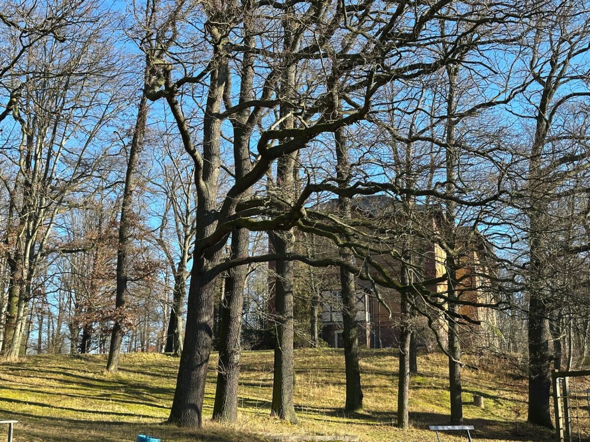 Das Klinikgelände Westewitz-Hochweitzschen hat einen parkähnlichen Charakter.