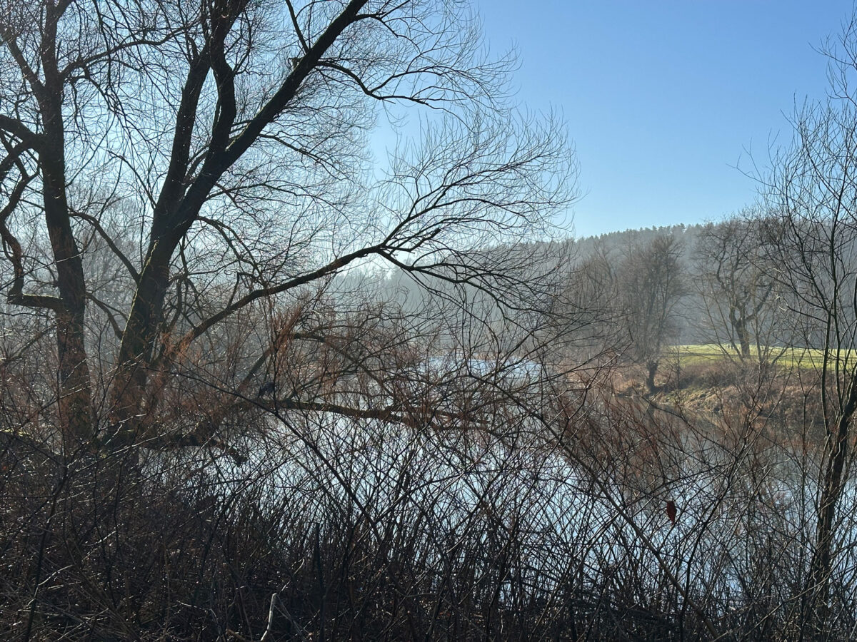 Die Morgenstimmung an der Freiberger Mulde hat einen besonderen Reiz, wenn sich Nebel im Tal gebildet hat.