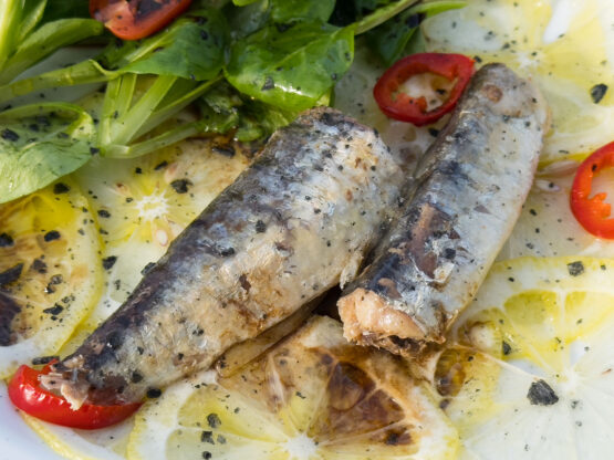 Zitronencarpaccio-mit-Sardinen-und-Feldsalat-Detail In Detail betrachtet ist ein Zitronencarpaccio mit Sardinen und Feldsalat schon gut anzusehen. Schmecken tut es frisch und meditteran.