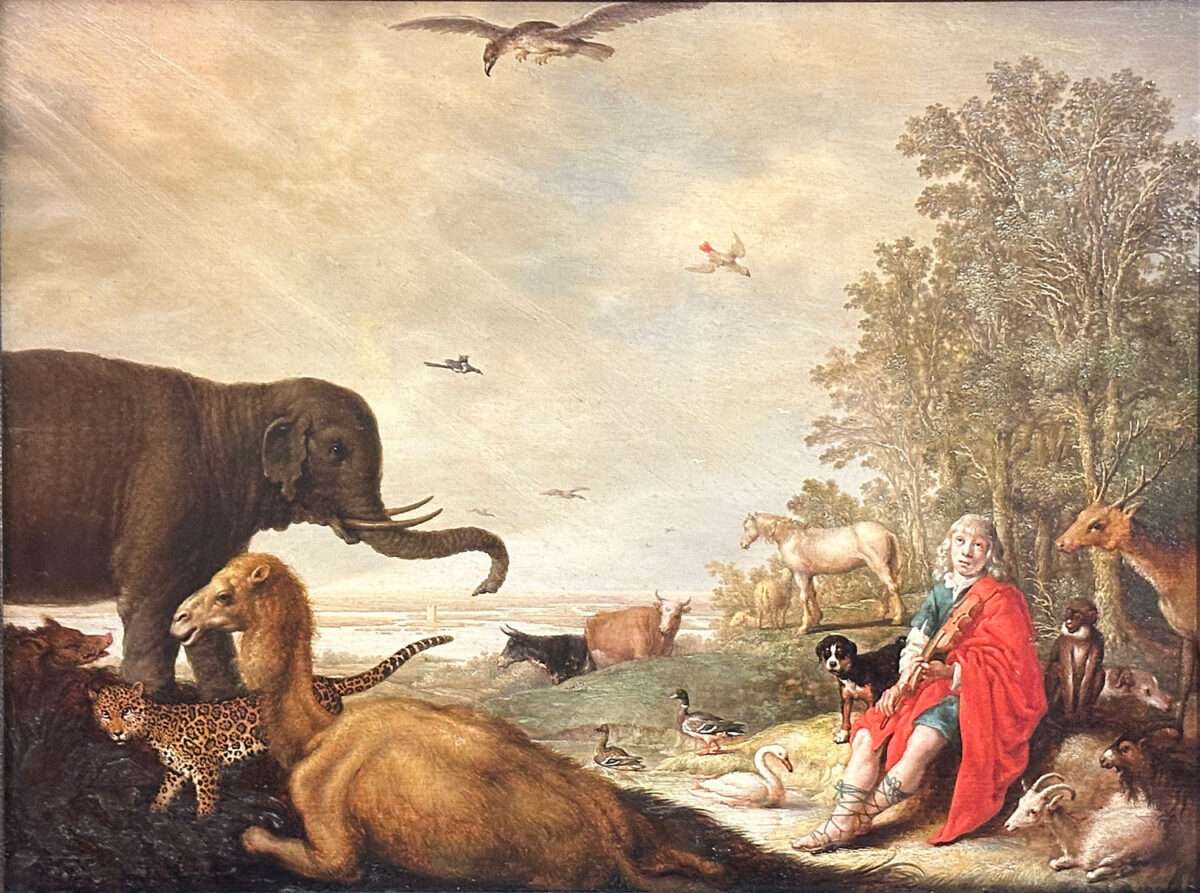 Die Anhaltische Gemäldegalerie Dessau beherbergt ein Gemälde von Aelbert Jacobsz Cupy mit dem Titel "Orpheus und die Tiere". Dieses ist mir nicht aus dem Kopf gegangen, weil darauf ein "halber Elefant" zu sehen ist. Der anschnitt ist sehr ungewöhnlich.